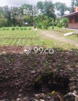 Kavling Tanah Dijual di Ponjong, Gunung Kidul, Luas 3030m2 Area Strategis Kavling Tanah Dijual di Ponjong, Gunung Kidul, Luas 3030m2 Area Strategis
