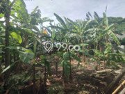 Dijual Tanah di Prambanan Klaten Luas 425m2 SHM Dijual Tanah di Prambanan Klaten Luas 425m2 SHM