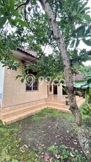 For Sale Rumah 4 Kamar Lokasi Ideal Bagus dan Strategis di Purworejo For Sale Rumah 4 Kamar Lokasi Ideal Bagus dan Strategis di Purworejo