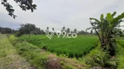 Tanah di Sleman, Sleman Luas 2244m2 Dijual Segera Tanah di Sleman, Sleman Luas 2244m2 Dijual Segera