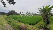 Tanah di Sleman, Sleman Luas 2244m2 Dijual Segera Tanah di Sleman, Sleman Luas 2244m2 Dijual Segera