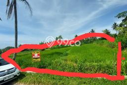 Lahan Dijual Lokasi Pakem, Sleman dengan Luas Tanah 2023m2 dan Status SHM Lahan Dijual Lokasi Pakem, Sleman dengan Luas Tanah 2023m2 dan Status SHM