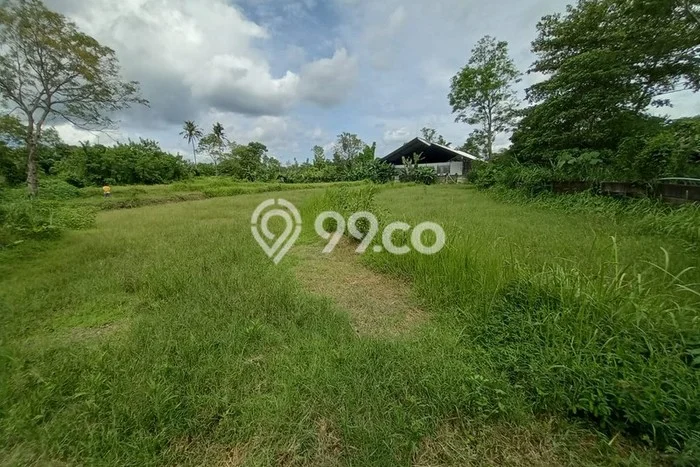 Tanah di Ngemplak, Sleman Luas 1005m2 Dijual Segera Tanah di Ngemplak, Sleman Luas 1005m2 Dijual Segera