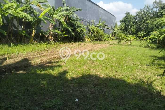 Tanah di Kalasan, Luas 1405m², Kawasan Bisnis Tanah di Kalasan, Luas 1405m², Kawasan Bisnis