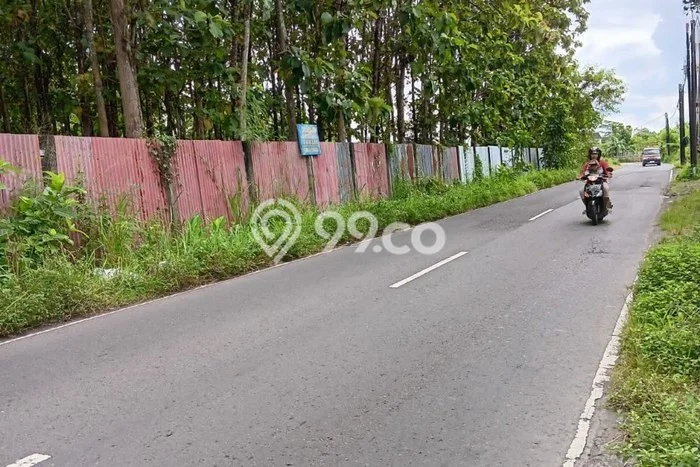 Lahan untuk Dijual Lokasi Berbah, Sleman Luas 5000m2 SHM Lahan untuk Dijual Lokasi Berbah, Sleman Luas 5000m2 SHM