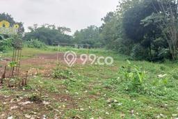 Jarang Ada! Tanah di Cisauk Punya Luas 4032m2 SHM Jarang Ada! Tanah di Cisauk Punya Luas 4032m2 SHM