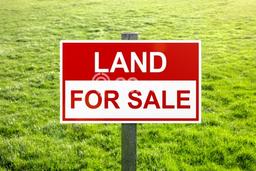 Lahan untuk Dijual Lokasi Ngadiluwih, Kediri Luas 80000m2 SHM Lahan untuk Dijual Lokasi Ngadiluwih, Kediri Luas 80000m2 SHM