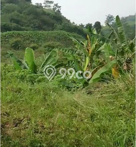 Kavling Tanah Dijual di Cimahi Selatan Cimahi Spesifikasi 41800m2 Kavling Tanah Dijual di Cimahi Selatan Cimahi Spesifikasi 41800m2