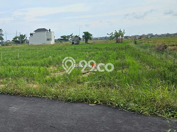 Kavling Tanah untuk Disewa di Renon Lahan Luas 100m2 Kavling Tanah untuk Disewa di Renon Lahan Luas 100m2