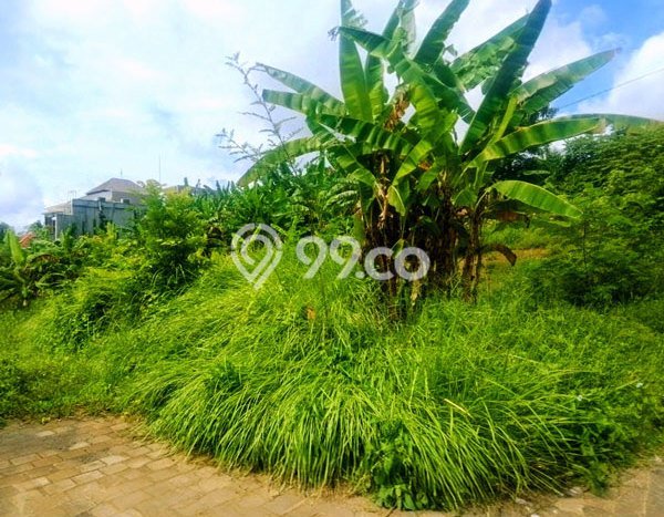 Tanah Kavling Dijual di Tabanan dengan Spesifikasi 560m2 Tanah Kavling Dijual di Tabanan dengan Spesifikasi 560m2