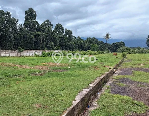 Dijual Tanah Lokasi Singaraja, Buleleng Seluas 100m2 Dijual Tanah Lokasi Singaraja, Buleleng Seluas 100m2
