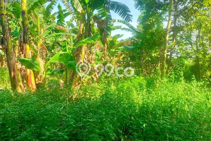 Tanah Kosong Dijual di Tangerang dengan Area 10000m2 Tanah Kosong Dijual di Tangerang dengan Area 10000m2