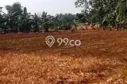 Tanah Dijual Lokasi Cisauk, Tangerang Luas 20487m2 Legalitas Aman Tanah Dijual Lokasi Cisauk, Tangerang Luas 20487m2 Legalitas Aman