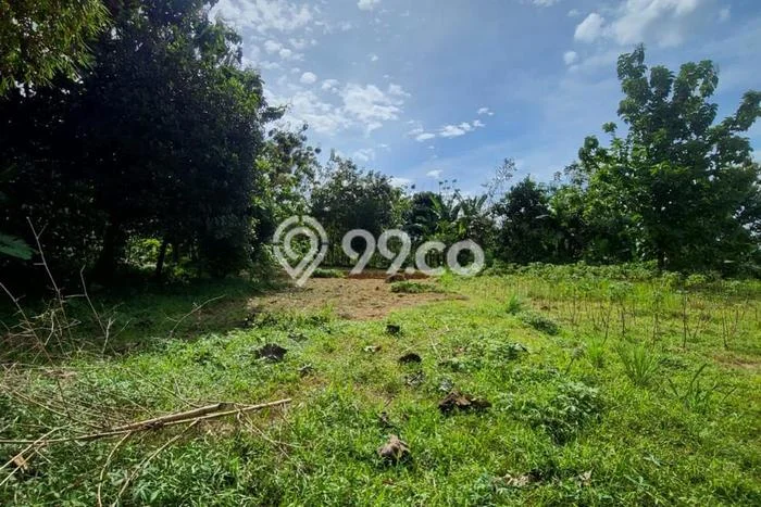 Tanah di Bogor Selatan, Bogor Luas 16000m2 Dijual Segera Tanah di Bogor Selatan, Bogor Luas 16000m2 Dijual Segera