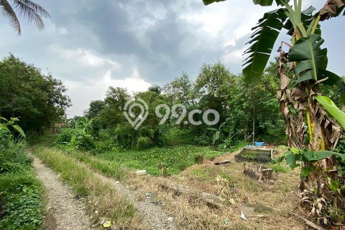 Kavling Tanah Dijual di Ciseeng Bogor Spesifikasi 11000m2 Kavling Tanah Dijual di Ciseeng Bogor Spesifikasi 11000m2