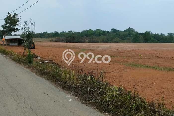 Untuk Dijual Tanah di Rangkasbitung Lebak Luas 28000m2 SHM Untuk Dijual Tanah di Rangkasbitung Lebak Luas 28000m2 SHM