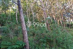 Tanah Dijual Area Strategis di Nusa Penida Klungkung 13700m2 Tanah Dijual Area Strategis di Nusa Penida Klungkung 13700m2