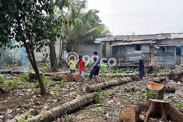 Tanah Kavling Dijual di Depok dengan Spesifikasi 665m2 Tanah Kavling Dijual di Depok dengan Spesifikasi 665m2