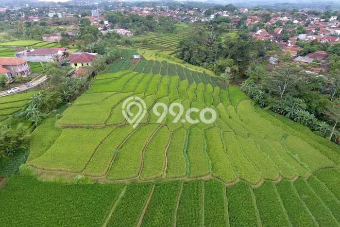 Tanah untuk Dijual di Cicalengka Bandung Luas 9921m2 Tanah untuk Dijual di Cicalengka Bandung Luas 9921m2