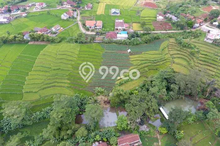 Tanah untuk Dijual di Cicalengka Bandung Luas 9921m2 Tanah untuk Dijual di Cicalengka Bandung Luas 9921m2