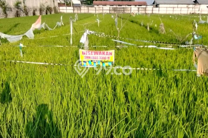 Disewakan Tanah Lokasi Strategis di Demak Demak 3300m2 Disewakan Tanah Lokasi Strategis di Demak Demak 3300m2
