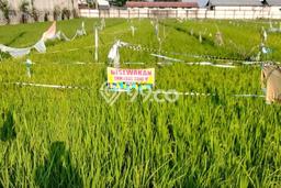 Disewakan Tanah Lokasi Strategis di Demak Demak 3300m2 Disewakan Tanah Lokasi Strategis di Demak Demak 3300m2