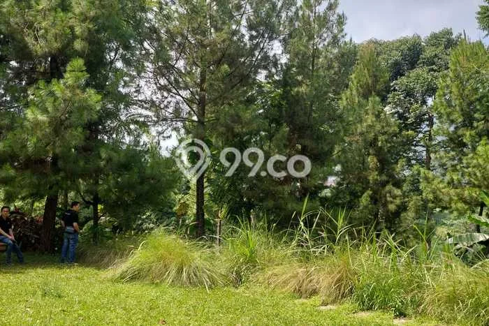 Kavling Tanah Dijual di Lembang Bandung Barat Spesifikasi 19480m2 Kavling Tanah Dijual di Lembang Bandung Barat Spesifikasi 19480m2