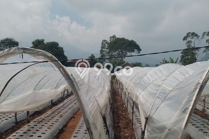 Kavling Tanah Dijual di Lembang Bandung Barat Spesifikasi 19480m2 Kavling Tanah Dijual di Lembang Bandung Barat Spesifikasi 19480m2