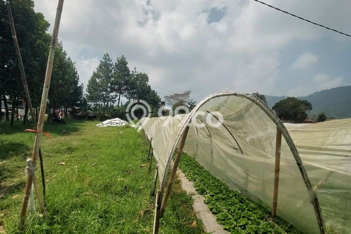 Lahan Dijual Lokasi Lembang, Bandung Barat dengan Luas Tanah 19480m2 dan Status SHM Lahan Dijual Lokasi Lembang, Bandung Barat dengan Luas Tanah 19480m2 dan Status SHM