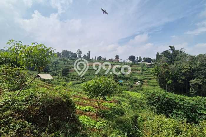 Lahan Investasi Lokasi Cimahi Utara Cimahi SHM Lahan Investasi Lokasi Cimahi Utara Cimahi SHM