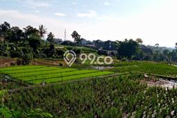 Tanah untuk Dijual Lokasi Garut Kota, Garut Luas 1951m2 SHM Tanah untuk Dijual Lokasi Garut Kota, Garut Luas 1951m2 SHM