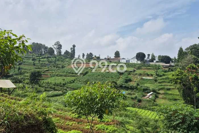 Kavling Tanah di Cimahi Utara Dijual Luas 10500m2 Legalitas SHM Kavling Tanah di Cimahi Utara Dijual Luas 10500m2 Legalitas SHM
