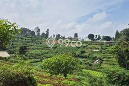 Kavling Tanah di Cimahi Utara Dijual Luas 10500m2 Legalitas SHM Kavling Tanah di Cimahi Utara Dijual Luas 10500m2 Legalitas SHM