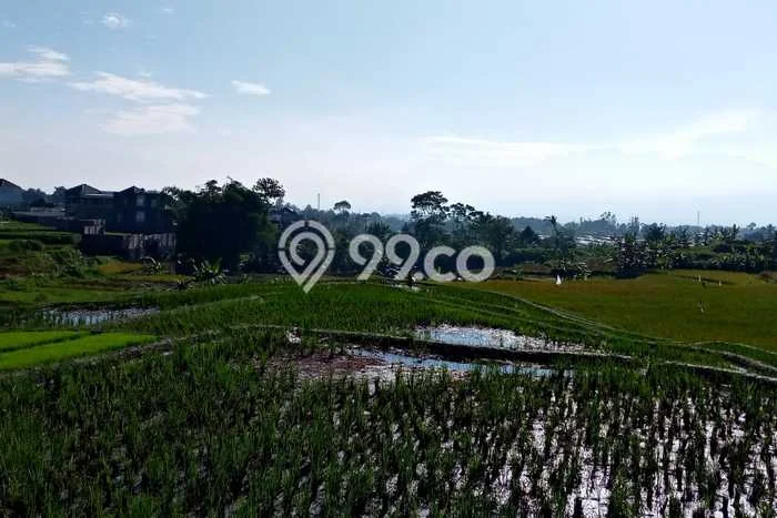 Lahan Investasi Lokasi Tarogong Kidul Garut SHM Lahan Investasi Lokasi Tarogong Kidul Garut SHM
