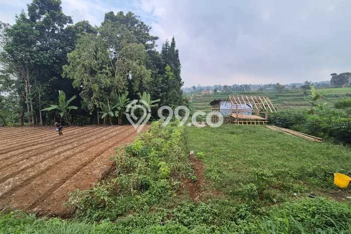 Tanah Strategis Dijual di Cimahi Utara Cimahi 4160m2 Tanah Strategis Dijual di Cimahi Utara Cimahi 4160m2