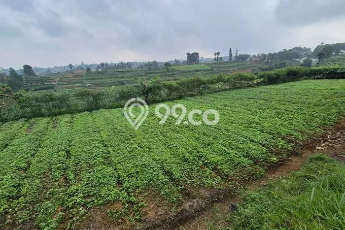 Kavling Tanah di Cimahi Utara Dijual Luas 10500m2 Legalitas SHM Kavling Tanah di Cimahi Utara Dijual Luas 10500m2 Legalitas SHM