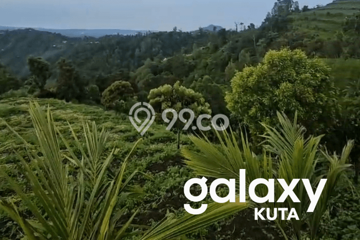 Lahan Kosong Dijual di Kintamani, Bangli, Luas 5000m2 Area Strategis Lahan Kosong Dijual di Kintamani, Bangli, Luas 5000m2 Area Strategis
