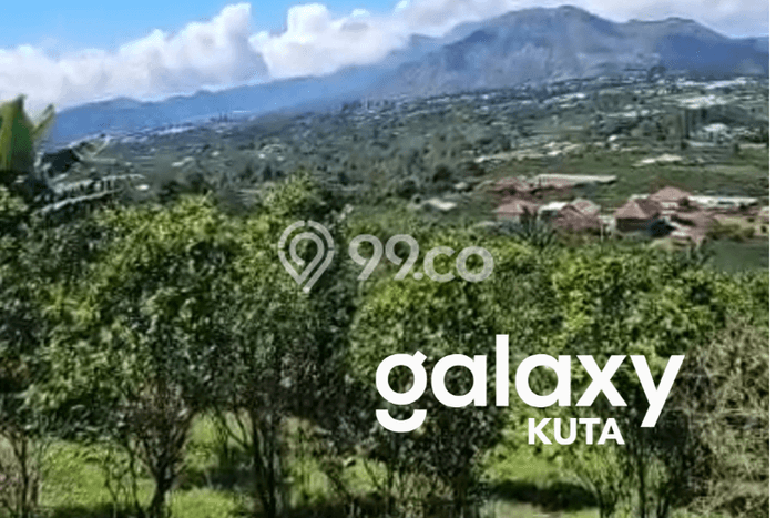 Tanah Dijual Lokasi Kintamani, Bangli dengan Luas Tanah 8650m2 dan Status SHM Tanah Dijual Lokasi Kintamani, Bangli dengan Luas Tanah 8650m2 dan Status SHM
