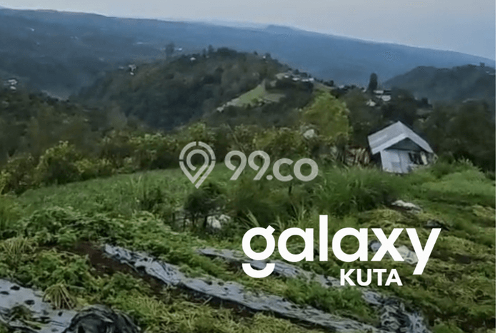 Lahan Kosong Dijual di Kintamani, Bangli, Luas 5000m2 Area Strategis Lahan Kosong Dijual di Kintamani, Bangli, Luas 5000m2 Area Strategis