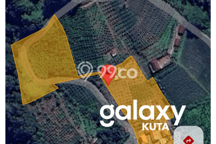 Tanah Dijual Lokasi Kintamani, Bangli dengan Luas Tanah 8650m2 dan Status SHM Tanah Dijual Lokasi Kintamani, Bangli dengan Luas Tanah 8650m2 dan Status SHM