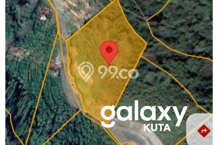 Lahan Kosong Dijual di Kintamani, Bangli, Luas 5000m2 Area Strategis Lahan Kosong Dijual di Kintamani, Bangli, Luas 5000m2 Area Strategis