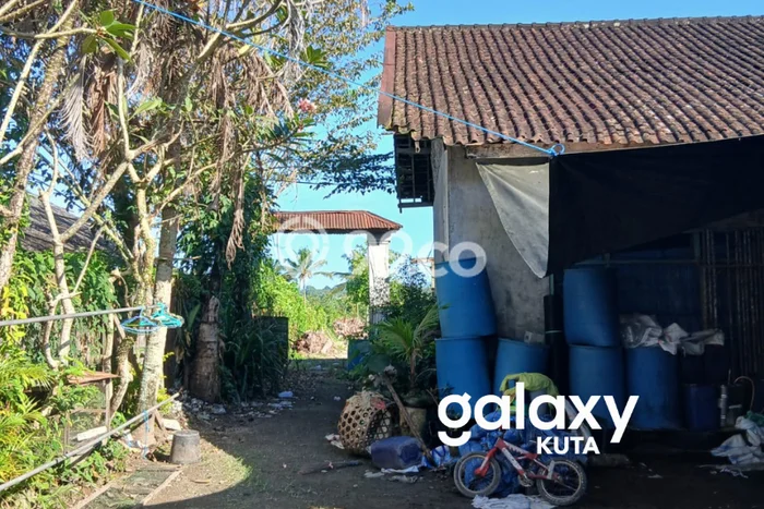 Tanah Dijual Lokasi Baturiti, Tabanan dengan Luas Tanah 74500m2 dan Status SHM Tanah Dijual Lokasi Baturiti, Tabanan dengan Luas Tanah 74500m2 dan Status SHM