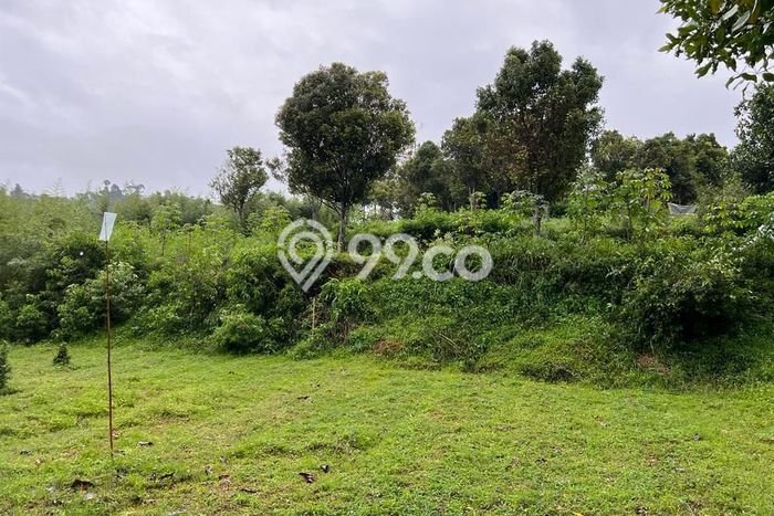 Tanah di Coblong, Bandung Luas 3025m2 Dijual Segera Tanah di Coblong, Bandung Luas 3025m2 Dijual Segera