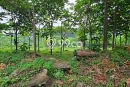 Tanah Kavling Dijual di Wonosobo dengan Spesifikasi 3950m2 Tanah Kavling Dijual di Wonosobo dengan Spesifikasi 3950m2