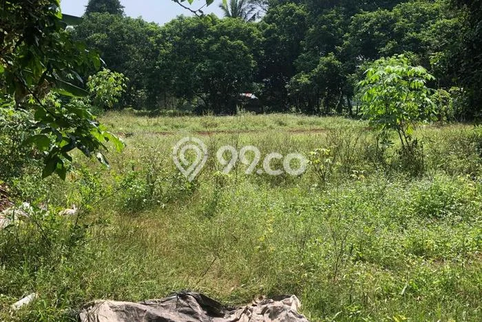 Tanah Dijual Lokasi Cisauk Tangerang AJB Tanah Dijual Lokasi Cisauk Tangerang AJB
