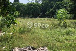 Tanah Dijual Lokasi Cisauk Tangerang AJB Tanah Dijual Lokasi Cisauk Tangerang AJB