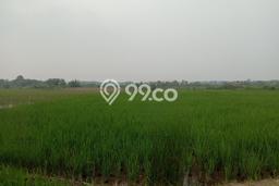 Untuk Dijual Tanah di Bekasi, Luas 3918m2 SHM Untuk Dijual Tanah di Bekasi, Luas 3918m2 SHM