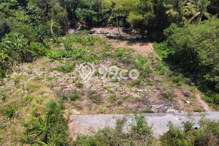 Dijual Tanah 2000m2 di Beraban, Tabanan Dijual Tanah 2000m2 di Beraban, Tabanan
