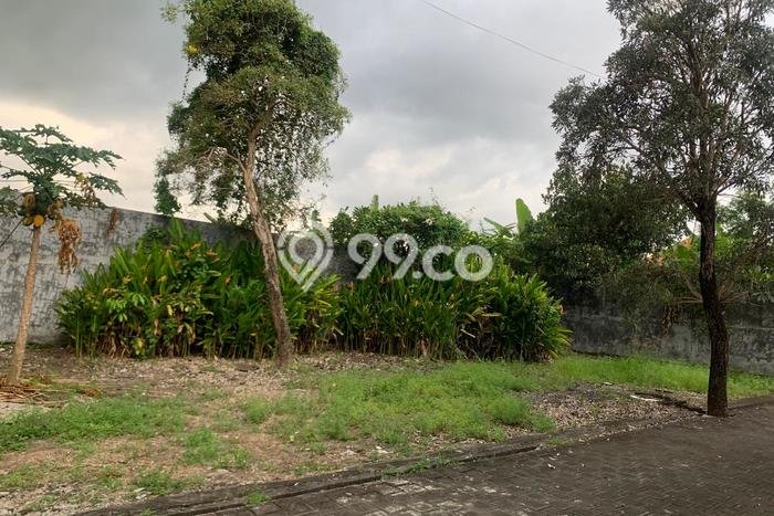 Tanah Area Berkembang di Pandakgede, Luas 200m², Akses ke Pusat Kota, Dekat Pandakgede, Tabanan, Tabanan Tanah Area Berkembang di Pandakgede, Luas 200m², Akses ke Pusat Kota, Dekat Pandakgede, Tabanan, Tabanan