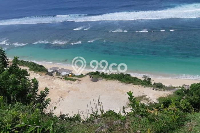 Jarang Ada! Tanah Kavling Disewakan di Badung 4927m2 Jarang Ada! Tanah Kavling Disewakan di Badung 4927m2